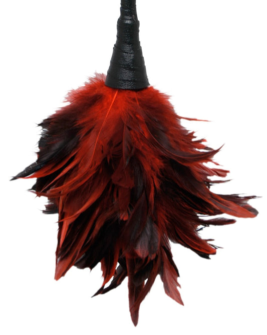05405440000-2-Frisky Feather Duster-2