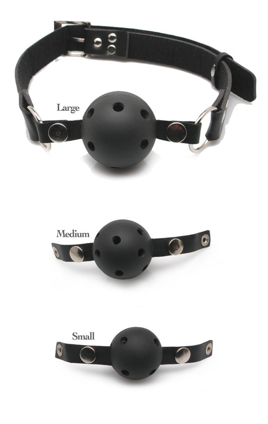 05406090000-2-Ball Gag Training System-2