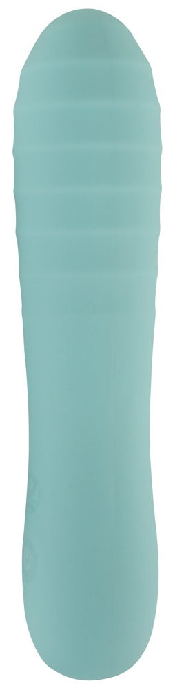 05566530000-2-Straight Vibrator-2