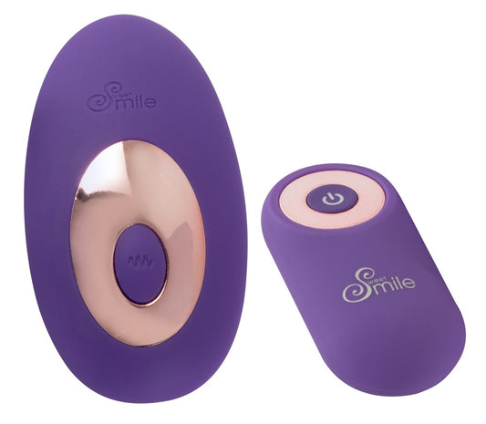 05973410000-2-RC Panty Vibrator-2