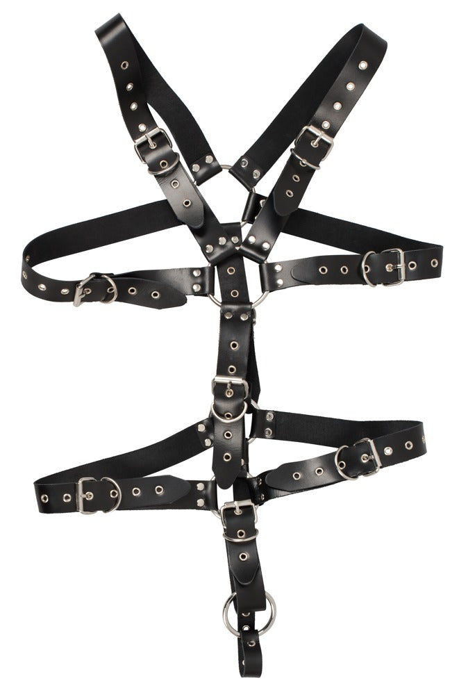 20102591151-3-Harness-3