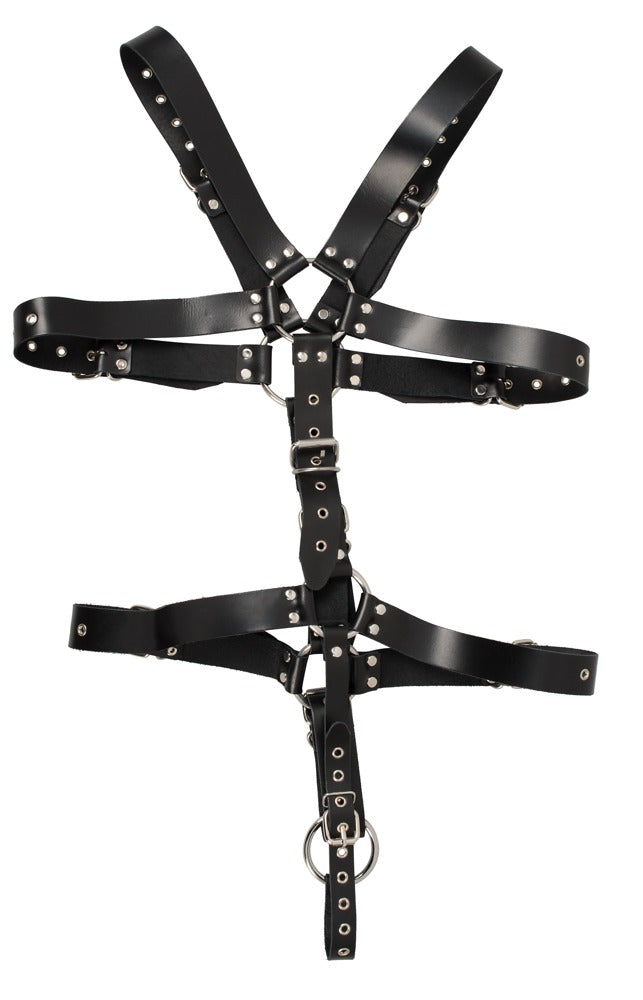 20102591151-4-Harness-4