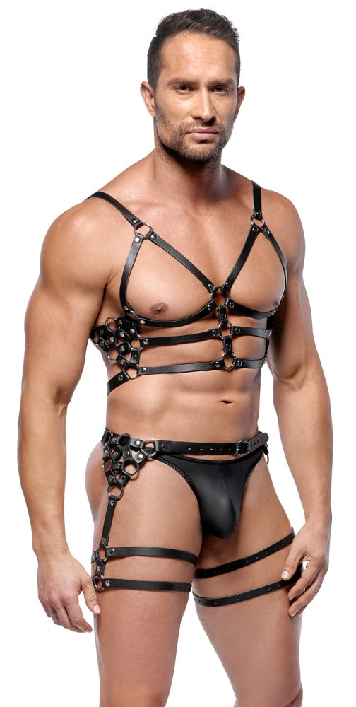 20102751171-2-Harness-Set aus Leder-2