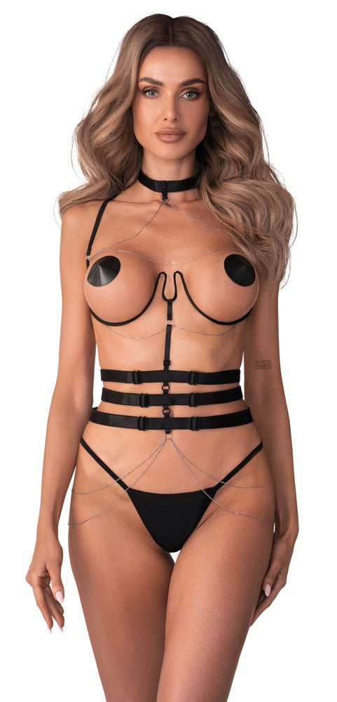 24506151101-1-Harness Premisis-1