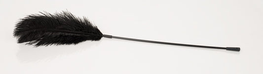 24904121000-2-Federstab-2