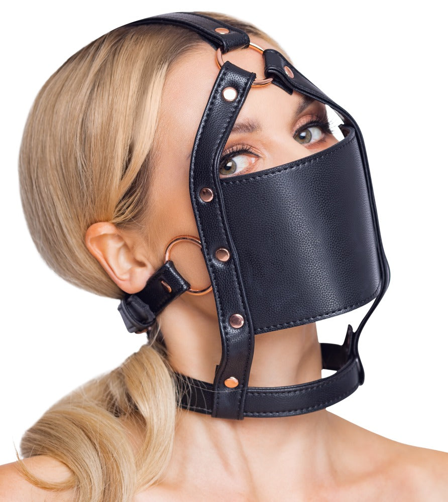 24933731001-3-head harness with a gag-3