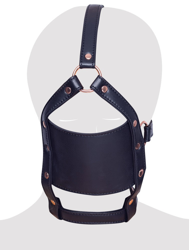 24933731001-4-head harness with a gag-4