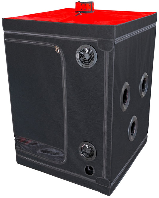 50059810000-2-Scandale-2