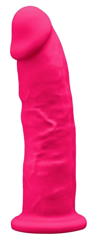 SilexD Modello 2 (7) Motore Rosa