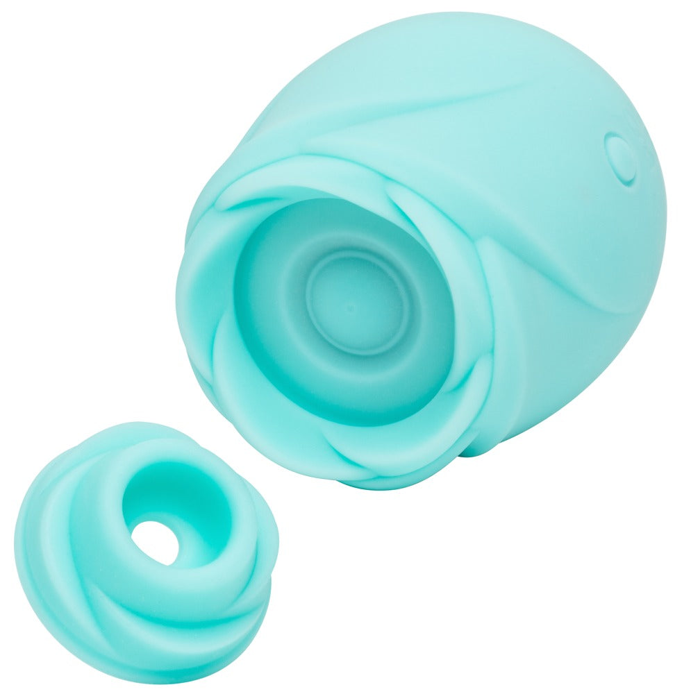 54093810000-4-Rose Glow-4