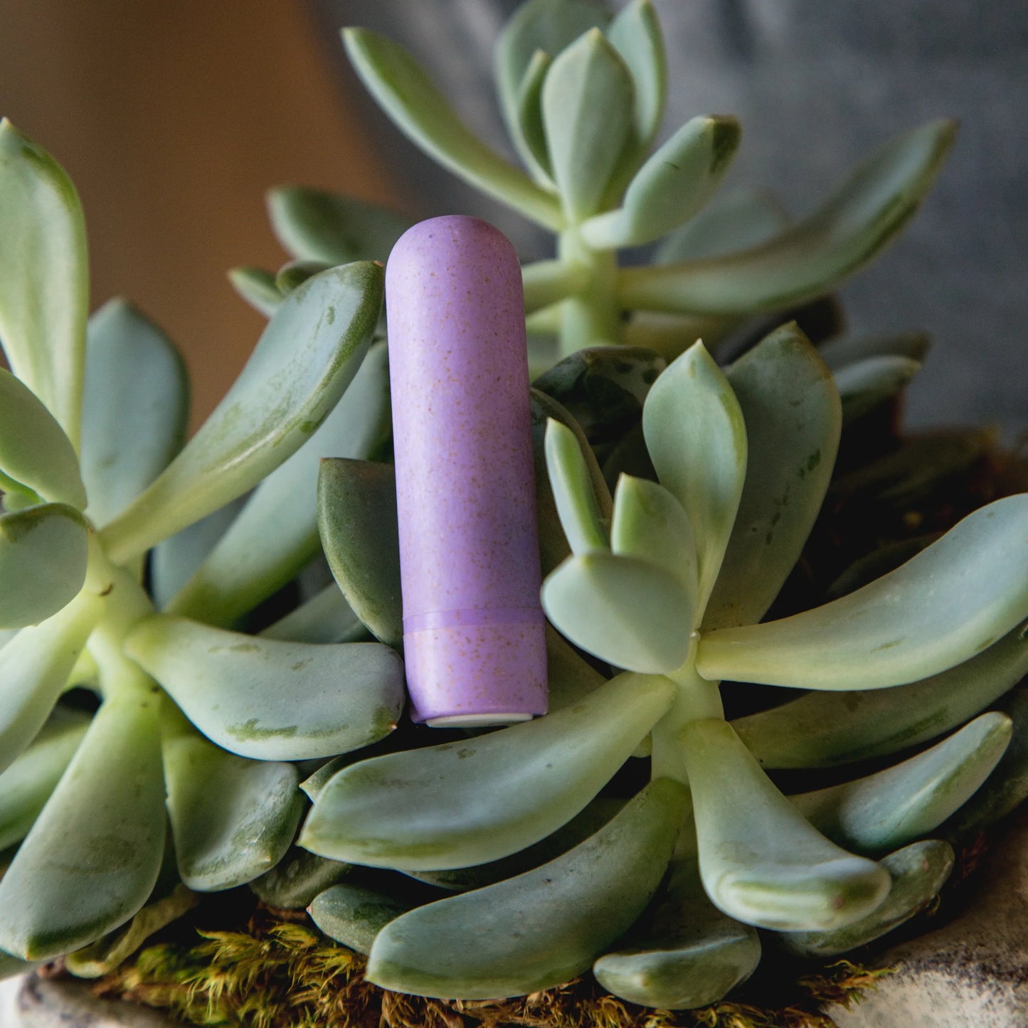 Gaia Biologisch abbaubar - Lilac