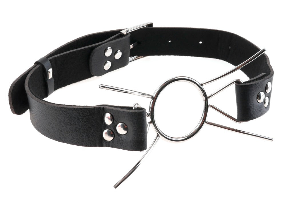 05404200000-3-Spider Gag-3