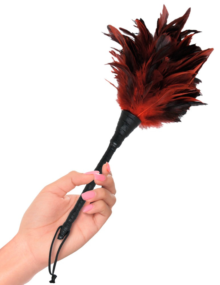 05405440000-3-Frisky Feather Duster-3