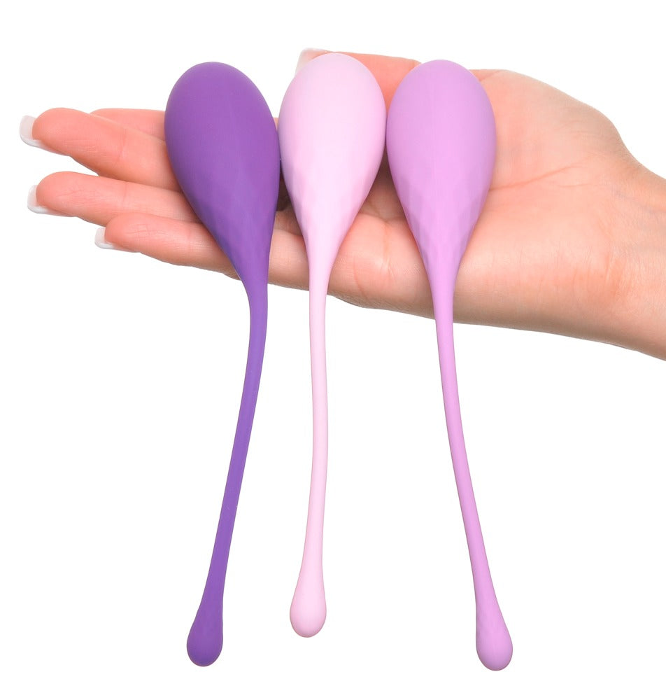 05416990000-4-kegel train-her set-4