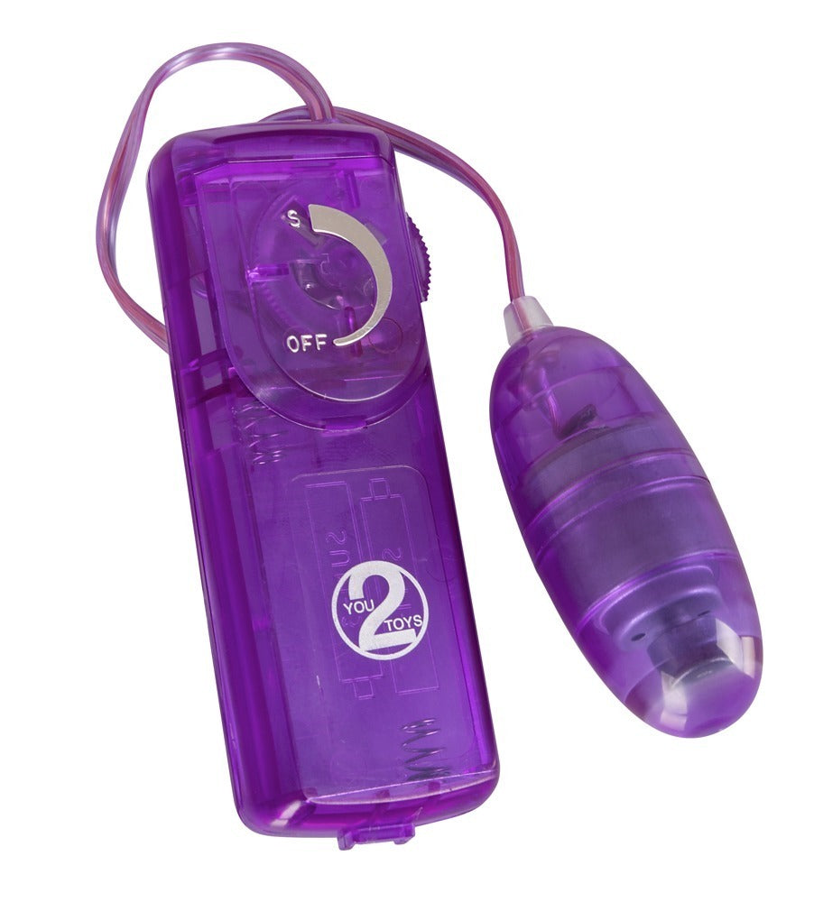 05824330000-4-Purple Appetizer-4