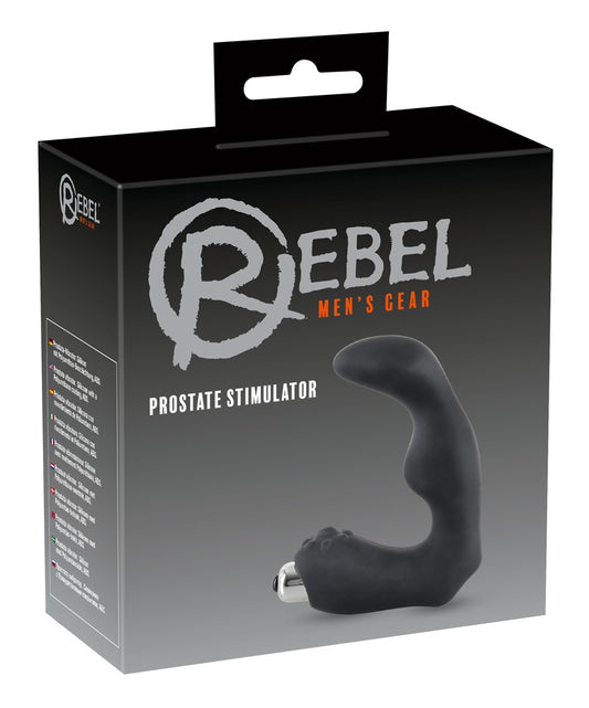 05859040000-1-Prostata-Vibrator-1