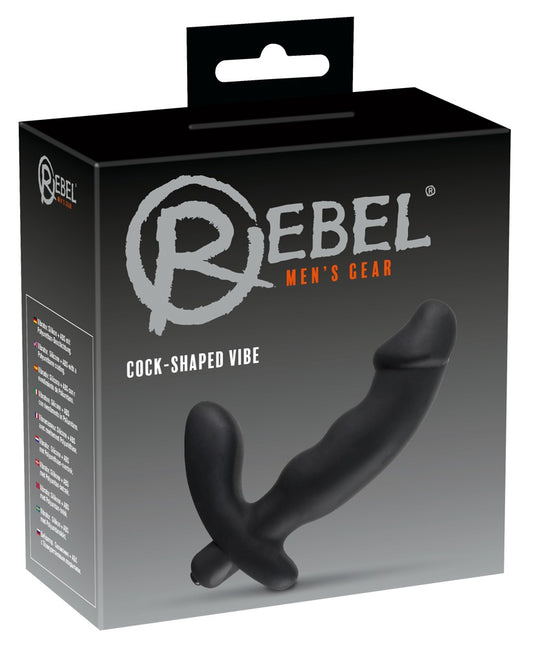 05859630000-1-Prostata-Vibrator-1