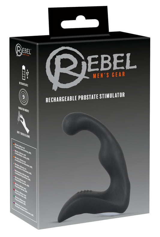 05900020000-1-Prostatavibrator-1