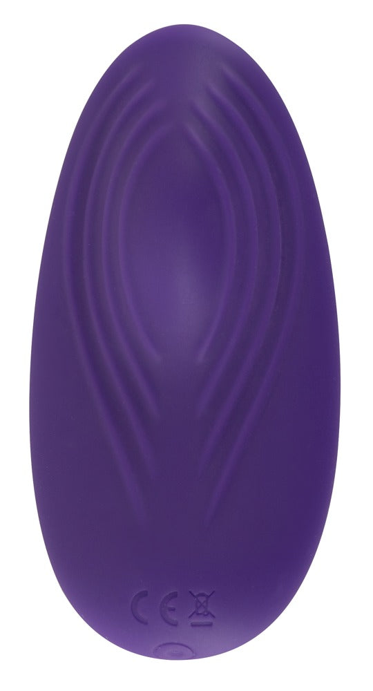 05973410000-4-RC Panty Vibrator-4