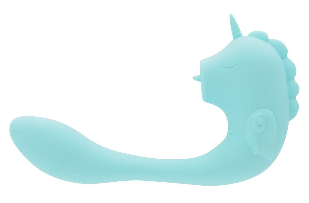 -2-C-Horse Ocean Peak-2