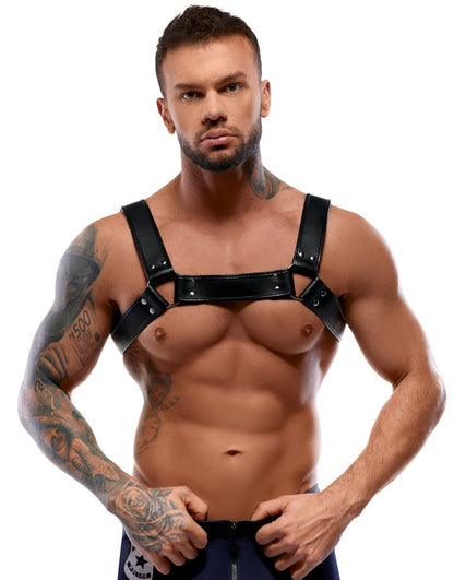 20100031001-2-Harness-2