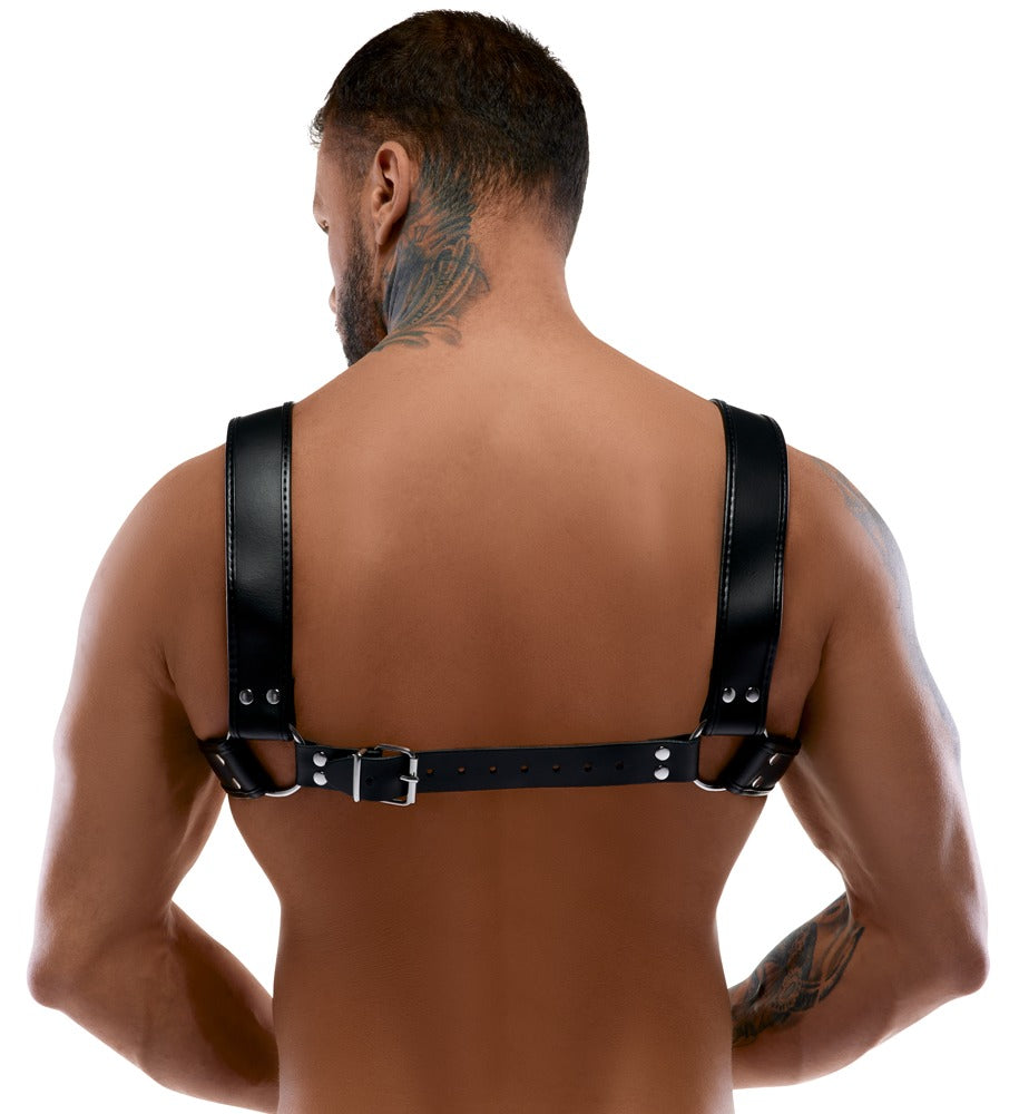 20100031001-4-Harness-4