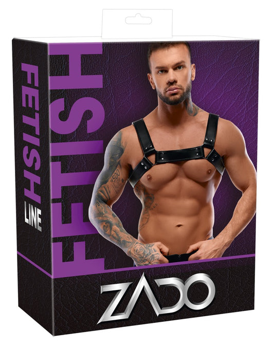 20100031001-1-Harness-1