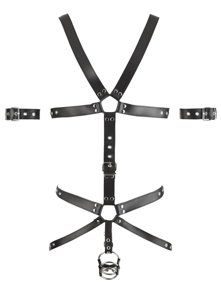 20101001110-4-Harness-4