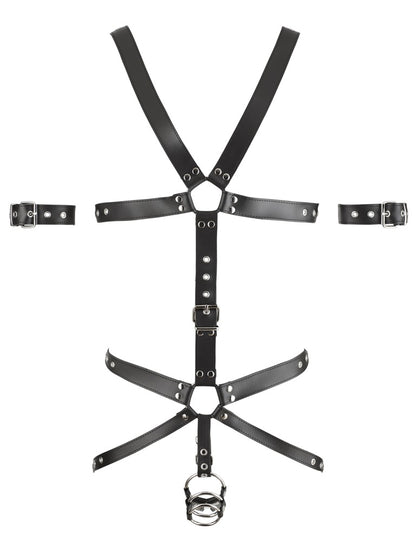 20101001110-4-Harness-4