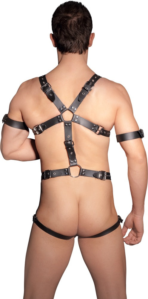 20101001110-3-Harness-3