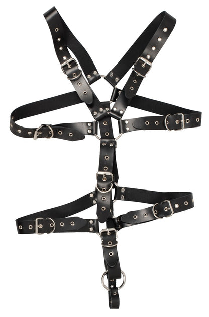 20102591151-3-Harness-3