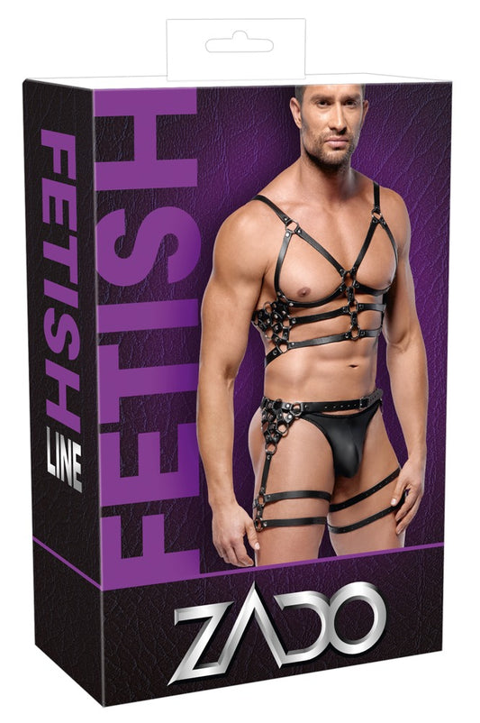 20102751171-1-Harness-Set aus Leder-1
