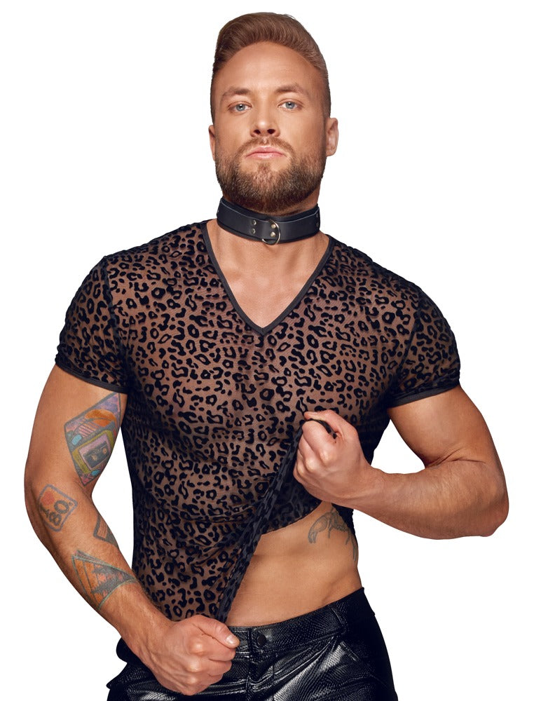 21617291731-3-Shirt-3