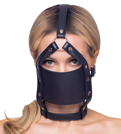 24933731001-2-head harness with a gag-2