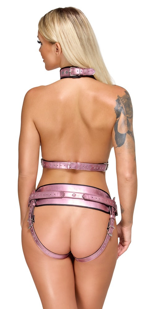 24937213111-4-Harness-Set-4