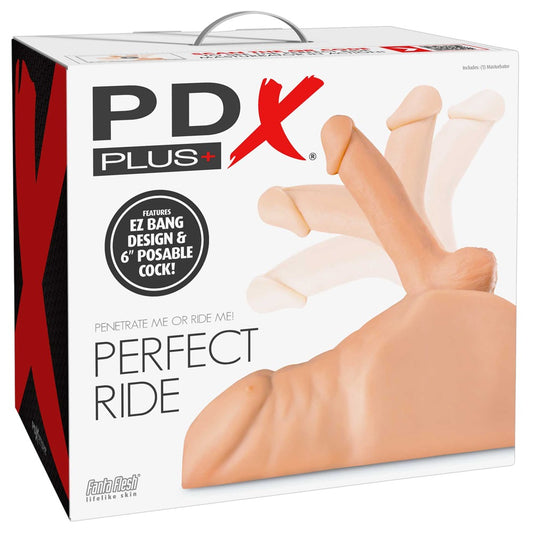 50016330000-1-Perfect Ride-1