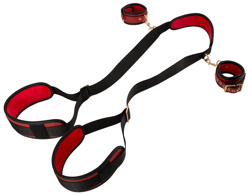 50066270000-3-Neck-Thigh-Restraint-Set-3