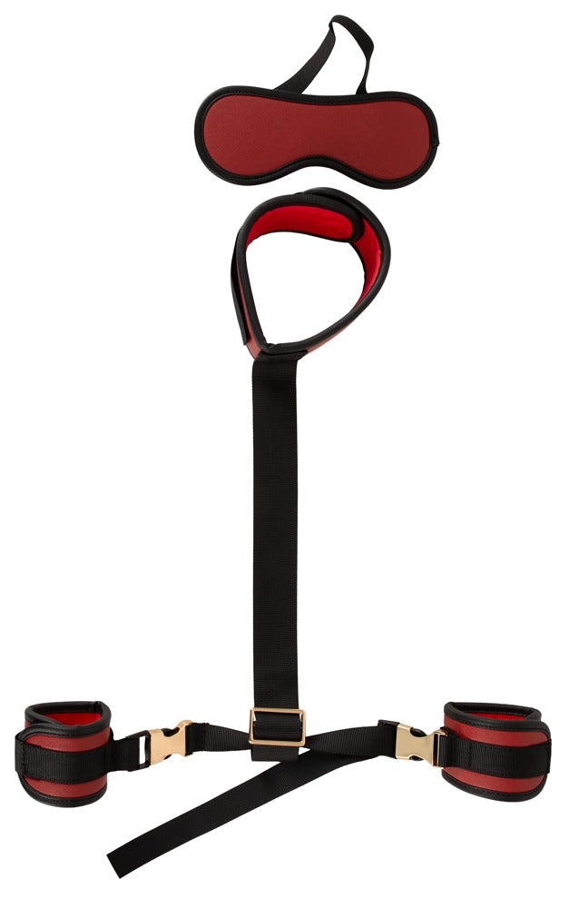 50066350000-3-Neck to Wrist Bondage Set-3