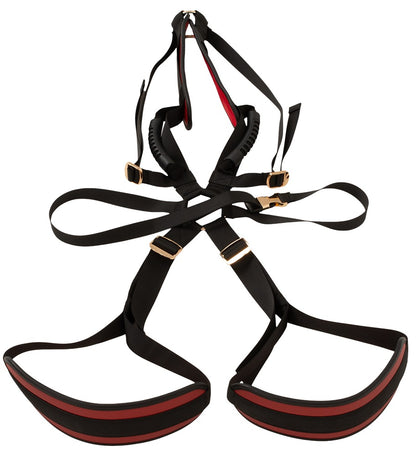 50066430000-3-Body Swing-3