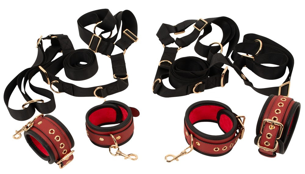 50066510000-3-Bed/Door Restraint Set-3