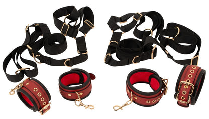 50066510000-3-Bed/Door Restraint Set-3