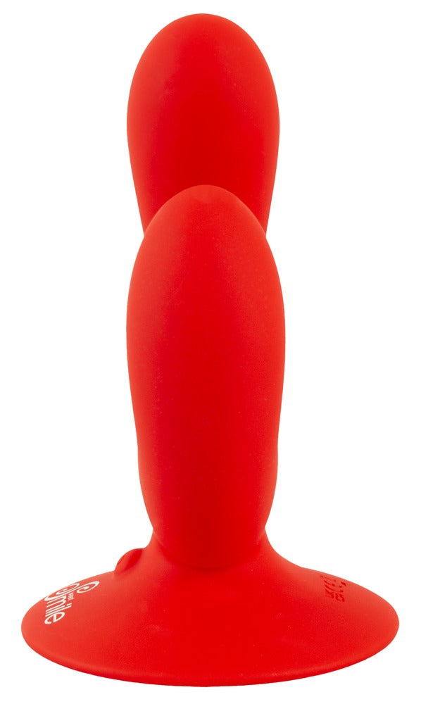 54061450000-4-Dual Vibrator-4